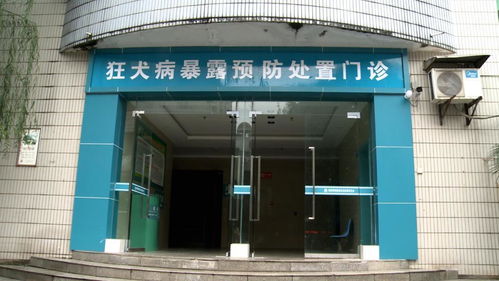 狂犬病 為何發(fā)病后致死率高達99.9%，每年5.5萬人死亡的警示